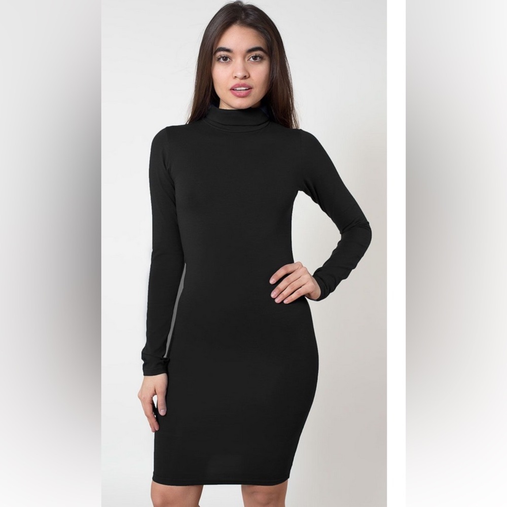 American Apparel Cotton Spandex Jersey Turtleneck Dress